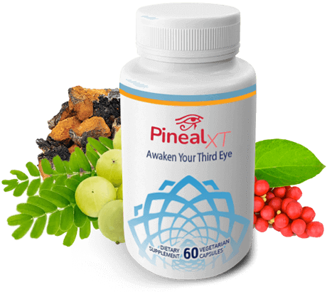 Pineal XT single bottle plus ingredients